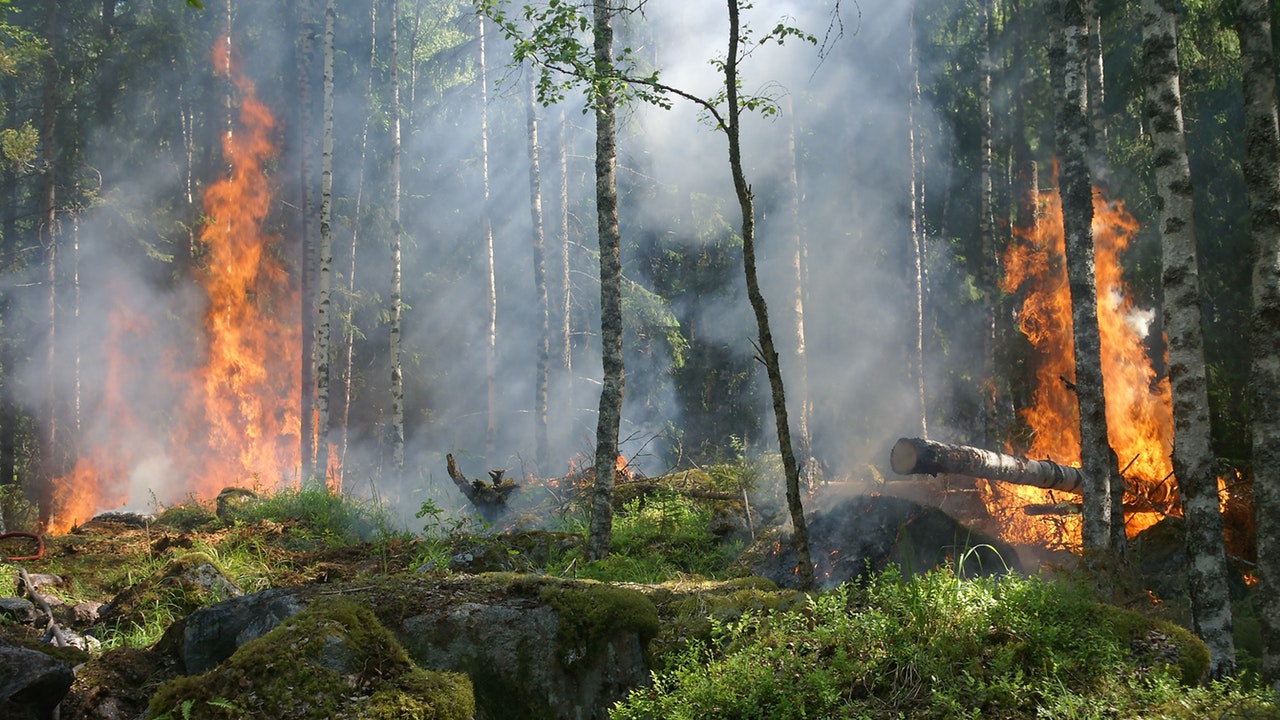 Incendios Forestales