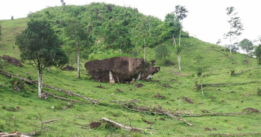 Fundación del Río: nueva ley ambiental “legaliza el saqueo” de áreas protegidas en Nicaragua