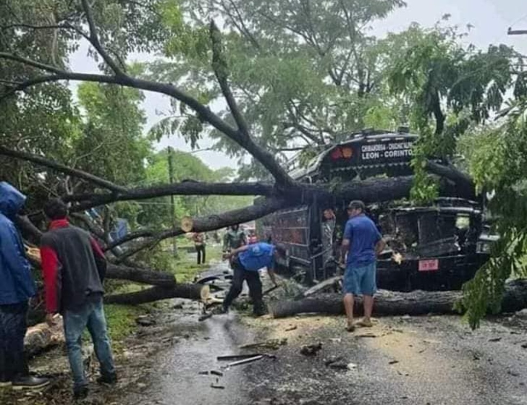 Un desaparecido y daños materiales en diferentes partes del país por la tormenta Sara