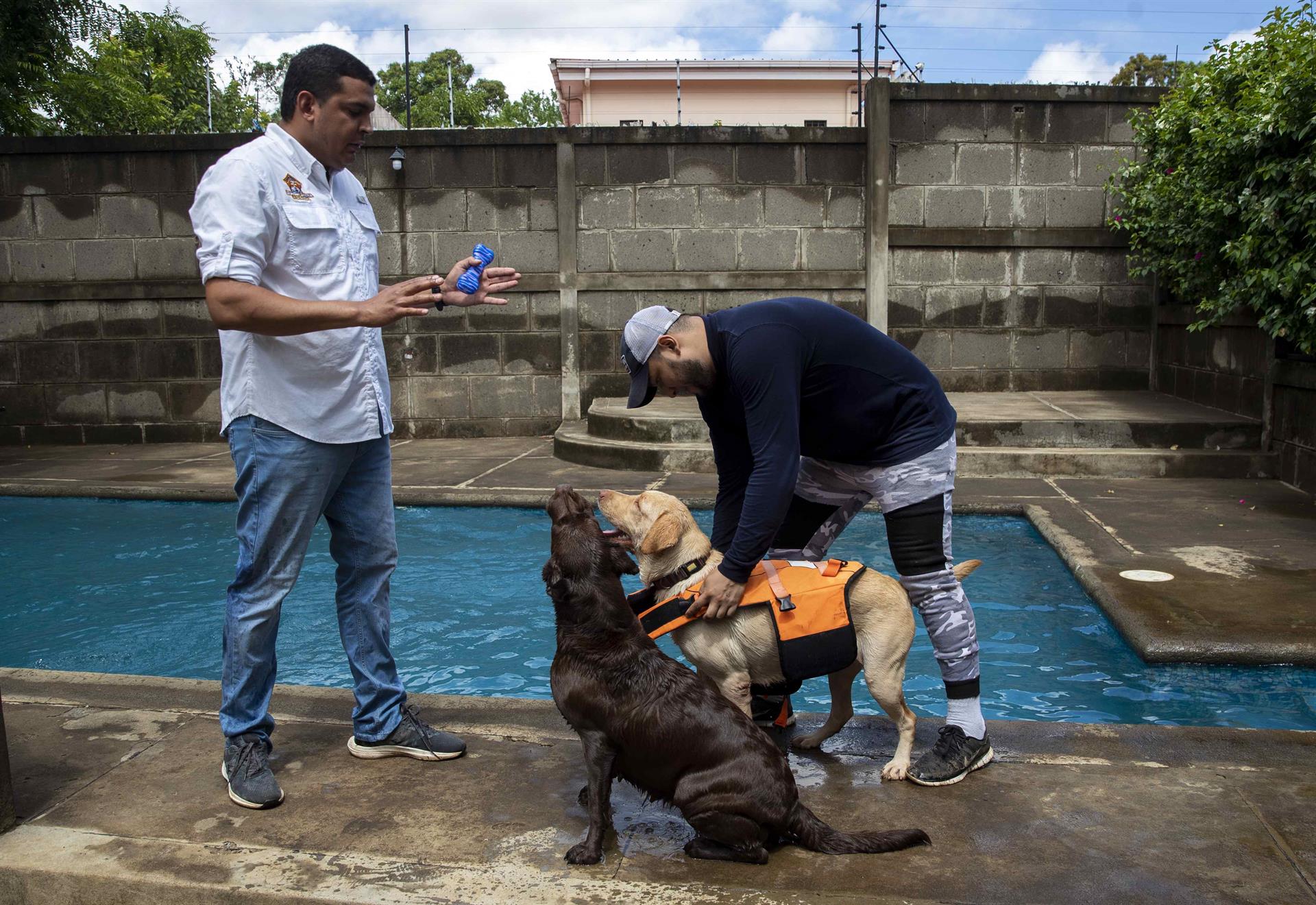 En Nicaragua una escuela ayuda a perros con problemas de socialización