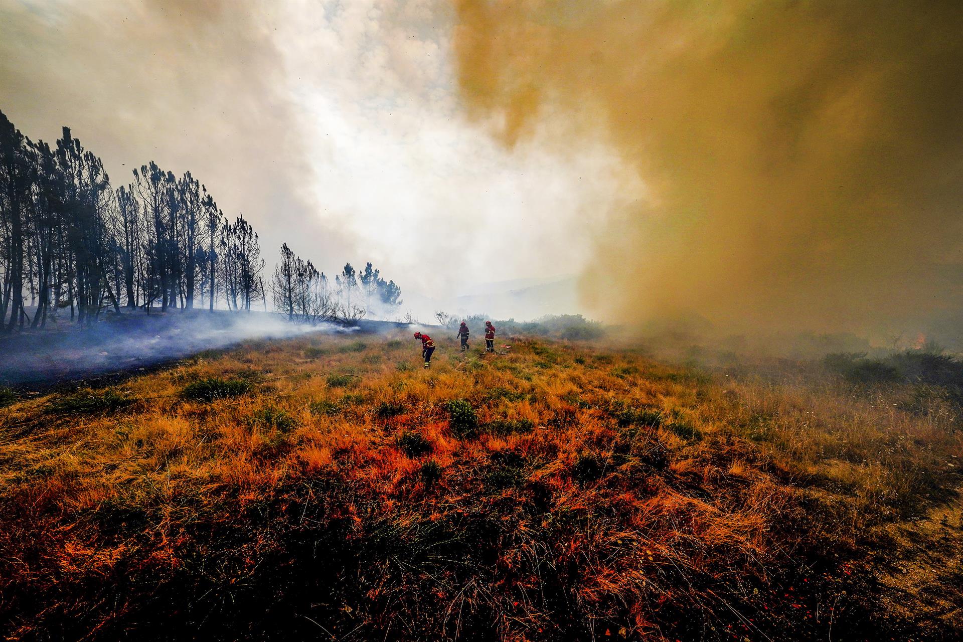 El calor deja más de 300 muertos en el sur de Europa y amenaza ya al norte