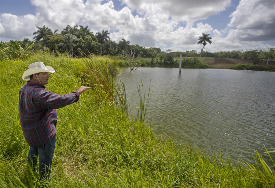 La crisis alimentaria en Cuba la carestía de productos agrícolas y la inflación