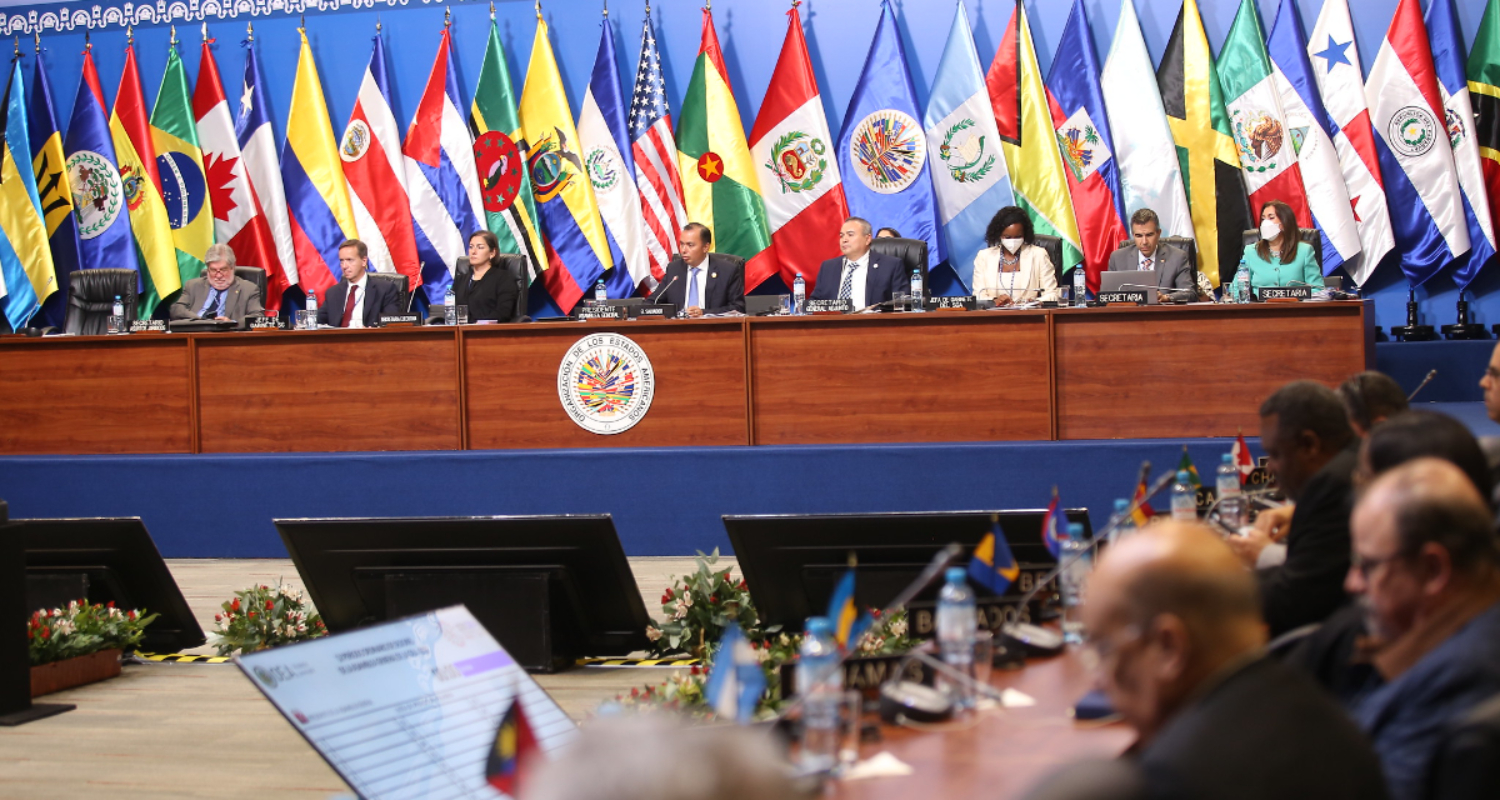 Arturo McFields: «La dictadura recibió un histórico golpe» en la OEA