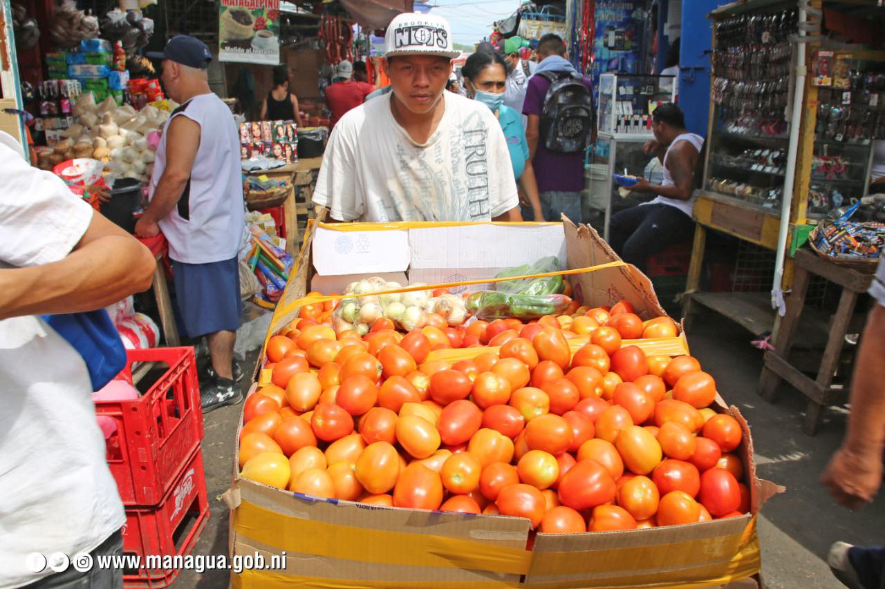 Papa, tomate y cebollas se encarecen y junto a los  frijoles y queso golpean los bolsillos nicas
