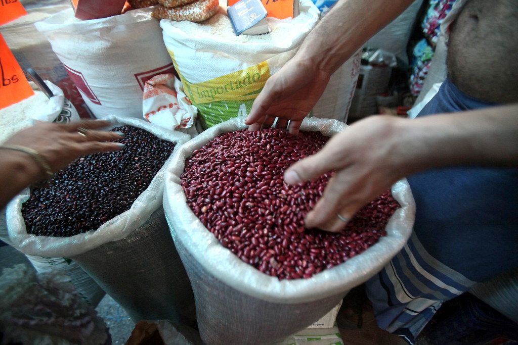 El precio de la libra de frijoles alcanza los 40 córdobas en los mercados de Nicaragua