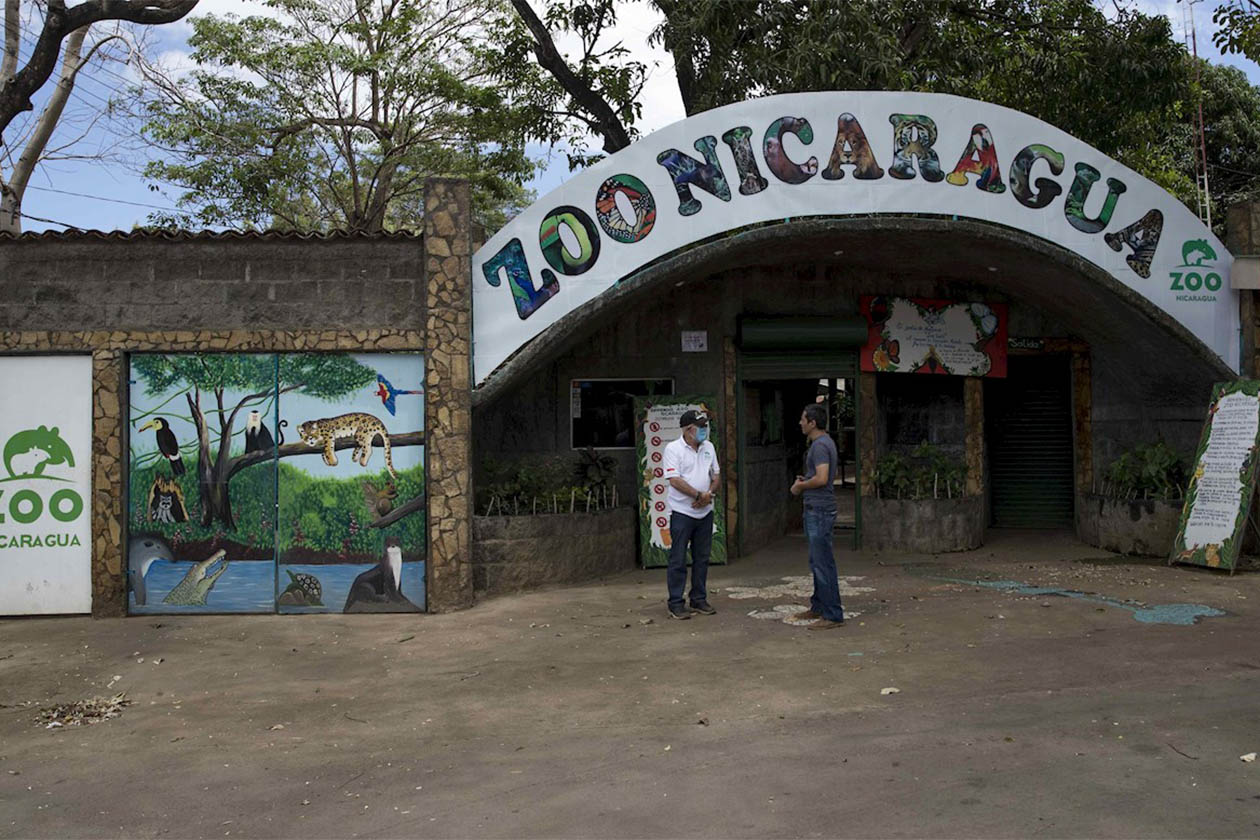 Primeros cambios en el Zoológico Nacional: será un ente autónomo y el Marena podrá variar precios de entradas