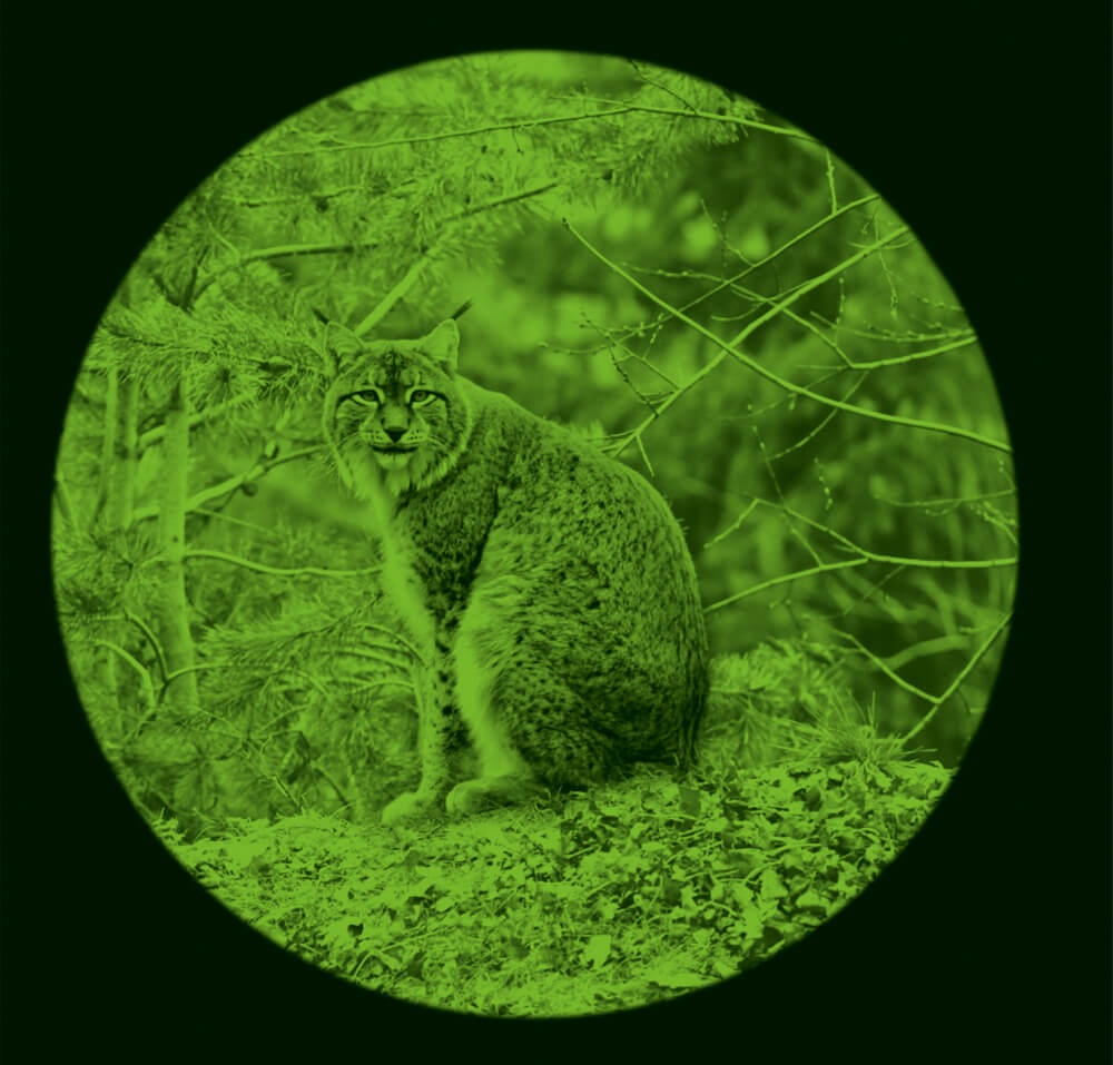 Se mantiene la prohibición de ingresar al país binoculares de visión nocturna