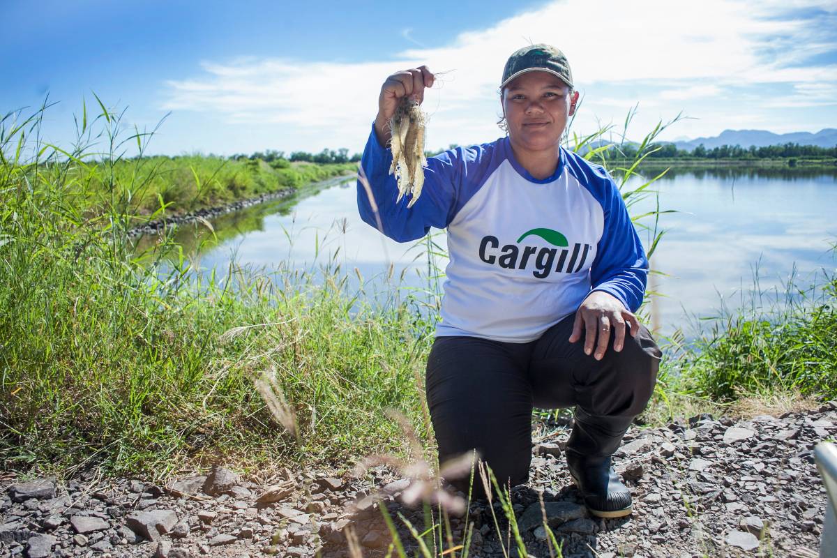 Régimen cancela a Cargill Nicaragua su registro sanitario para procesar alimentos de camarón