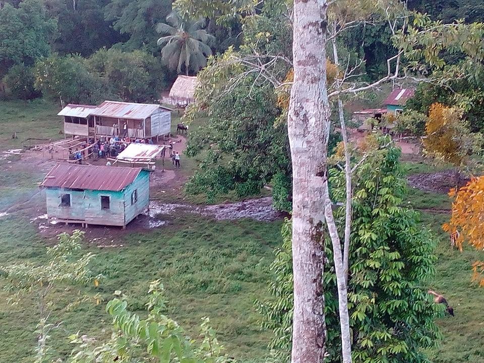 Colonos matan a una familia entera y queman casas en la comunidad de Wilu, territorio mayangna Sauni As