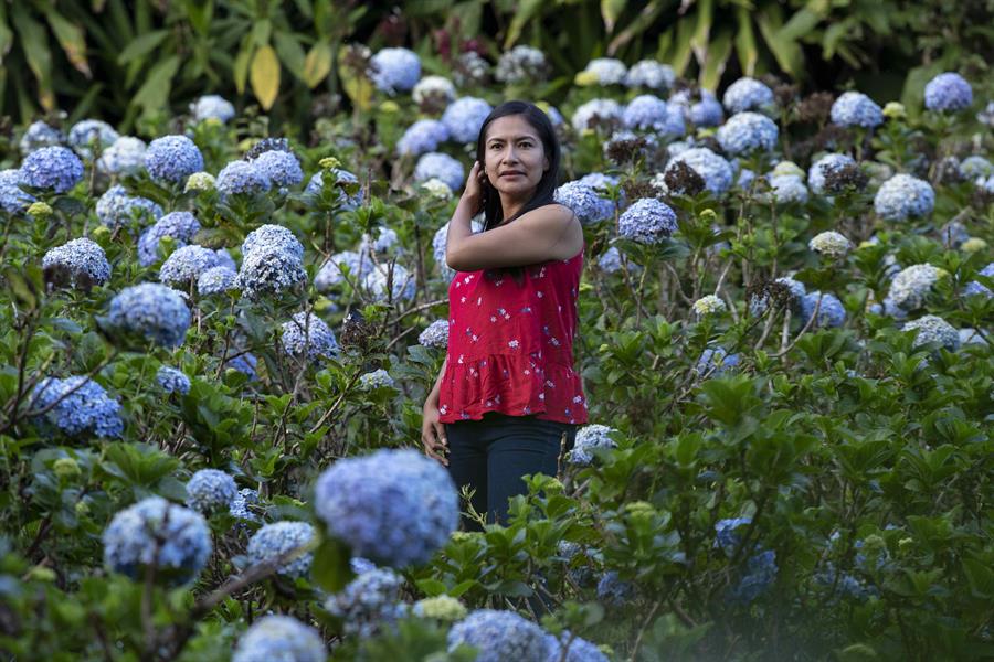 «El Campo de las Mil Flores», el nuevo atractivo turístico en El Crucero