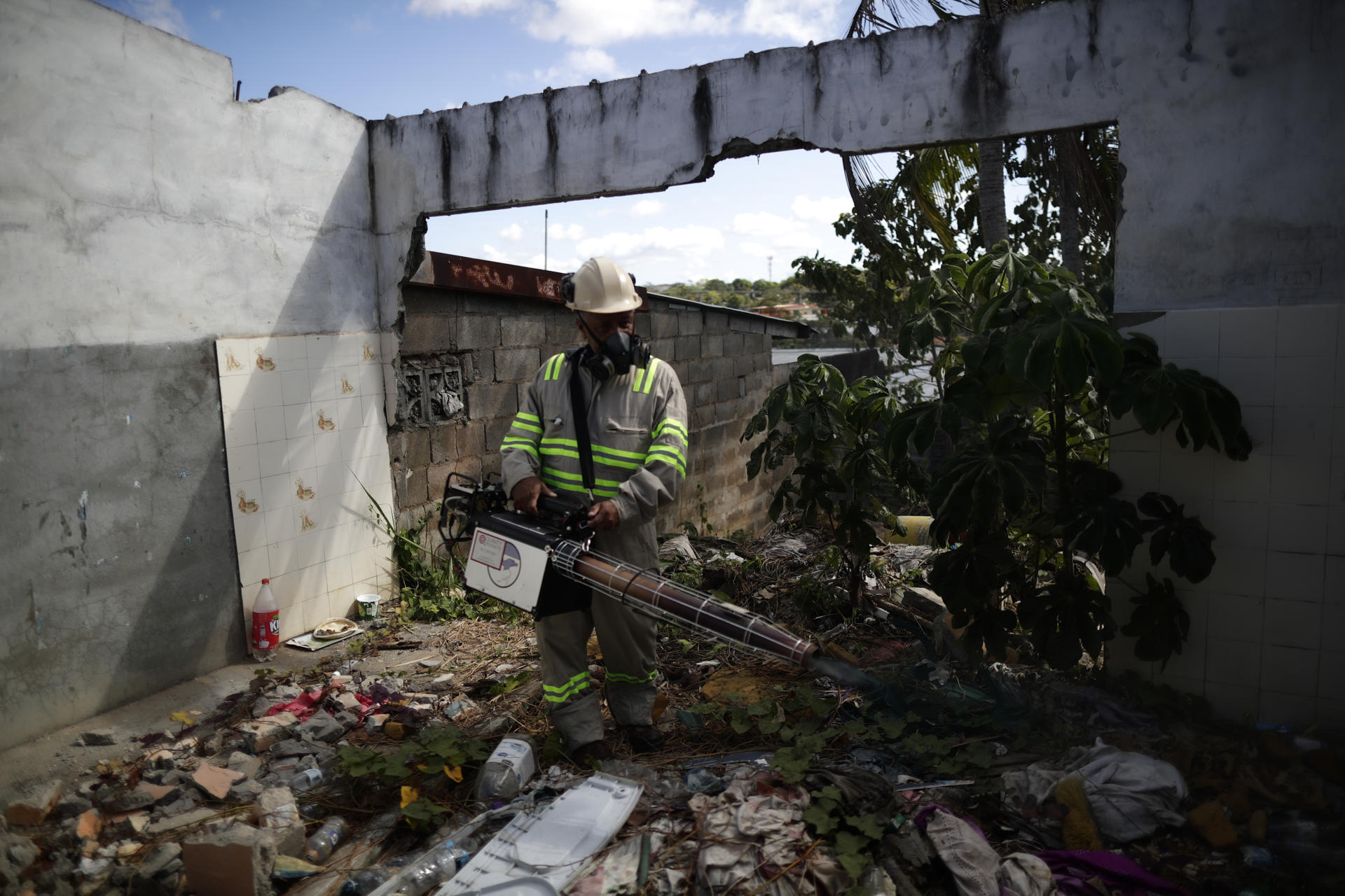 Latinoamérica lucha contra el dengue y chikunguña con la crisis climática en contra