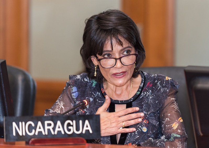 Ruth Tapia se va de la OEA sin poder frenar condenas al régimen