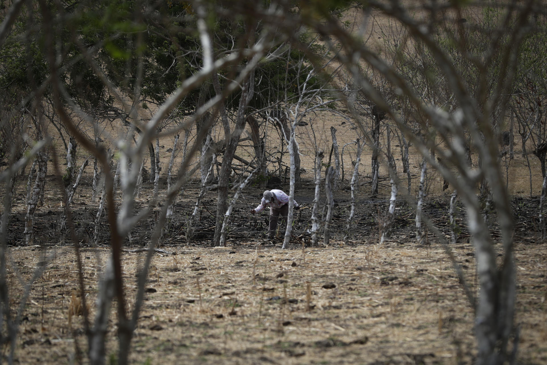 El Niño aumentará el hambre en Centroamérica en los próximos meses, alerta la ONU