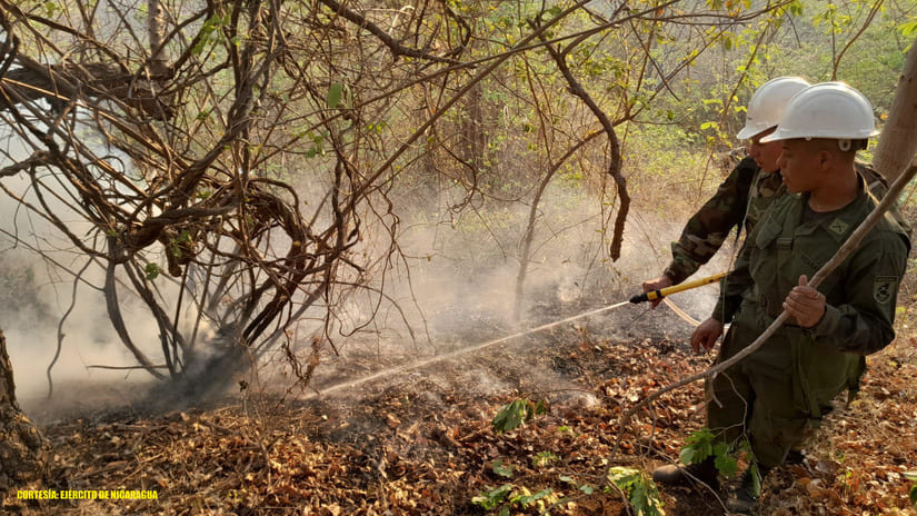 Alerta ambiental: casi 7 mil incendios y quemas en reservas y territorios indígenas que el régimen no reporta