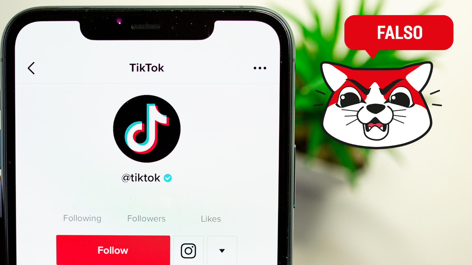 ¿Hoy es el último día de la aplicación TikTok? Esto es lo que se sabe del supuesto cierre