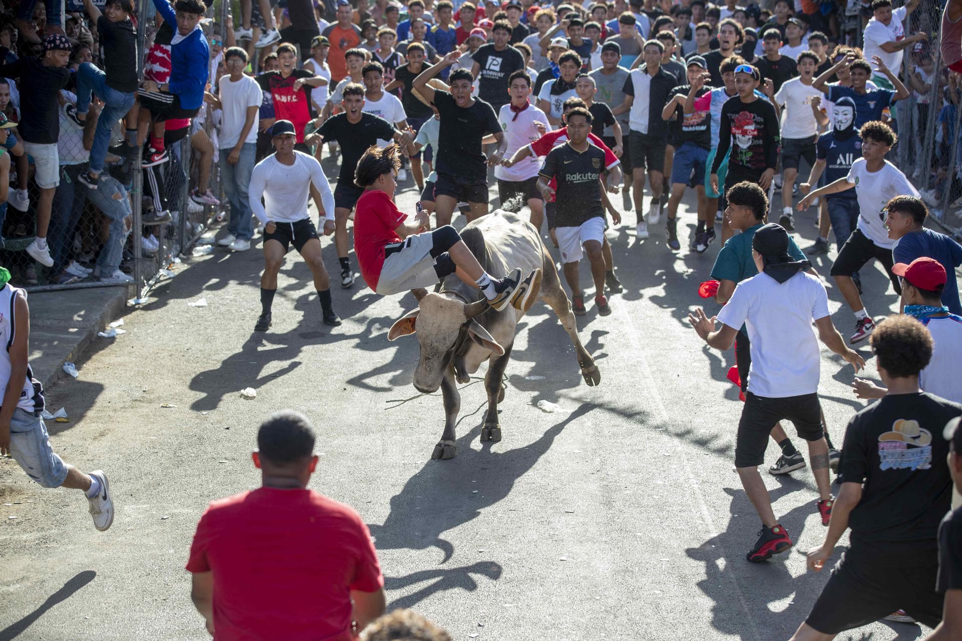 Sueltan toros en las calles de Managua para despedir a Santo Domingo