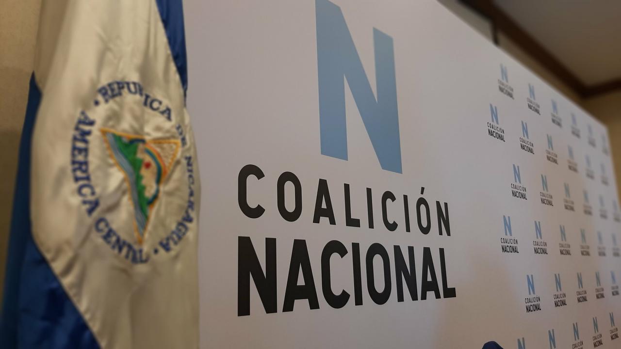 Partidos políticos aún no definen si se sumarán a la Coalición Nacional