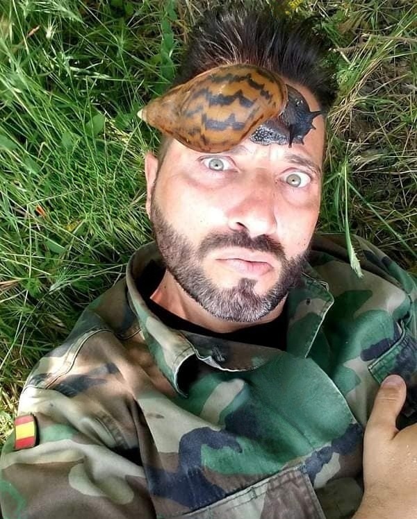 El IPSA identifica al exmilitar español que introdujo el caracol gigante africano a Nicaragua y lo acusa de «traficante de animales exóticos»