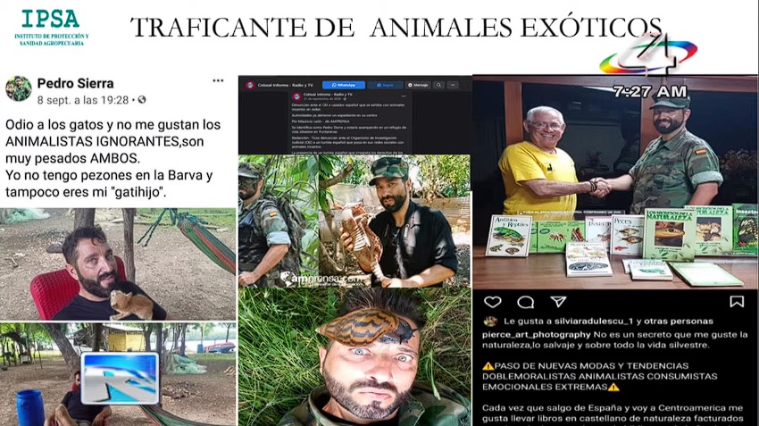 Exmilitar español desmiente al régimen y niega haber introducido a Nicaragua el caracol gigante africano  