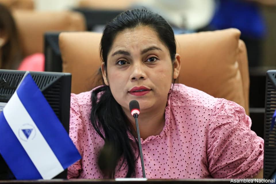 La dictadura usurpa la voluntad popular de los pueblos indígenas al imponer a la diputada Ana Rafael Alfred