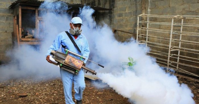 Imparable propagación del dengue en Nicaragua: el Minsa confirma 950 casos sospechosos por día  