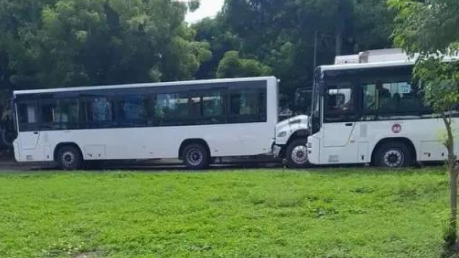 Buses nuevos chinos siguen con racha de accidentes, ¿fallos mecánicos o malos conductores?