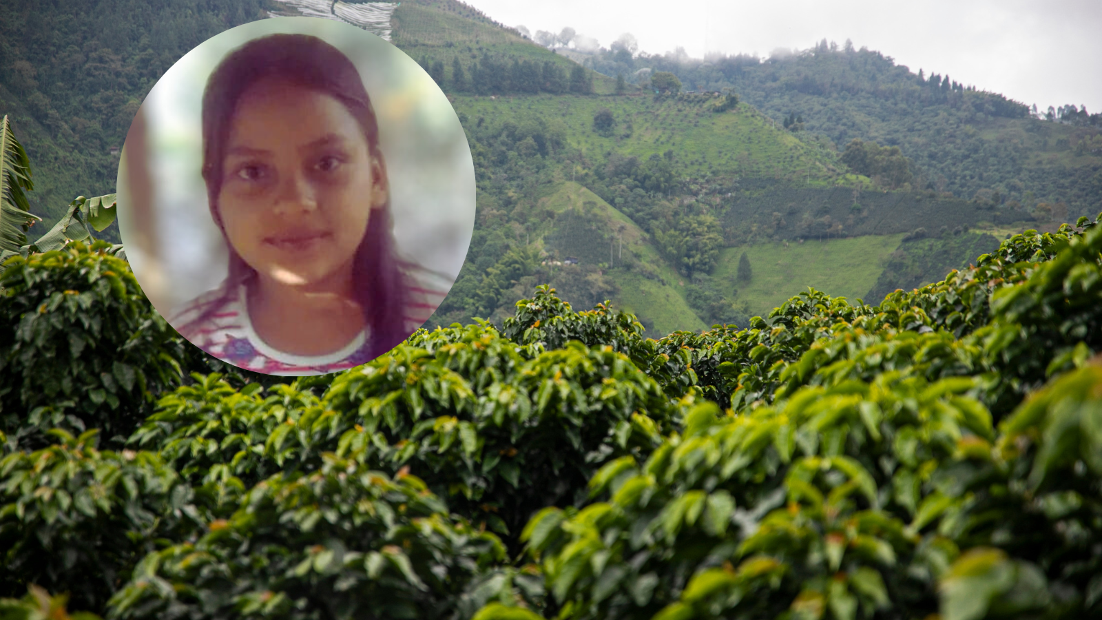 Niña de 12 años desaparecida en una finca cafetalera de Jinotega, su familia sospecha que fue raptada por un hombre