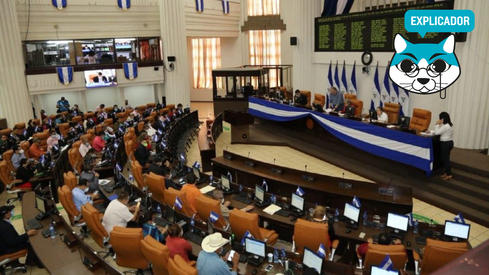 Cacería y purga de proveedores del Estado: la letra oculta en la reforma a la Ley de Contrataciones del Sector Público