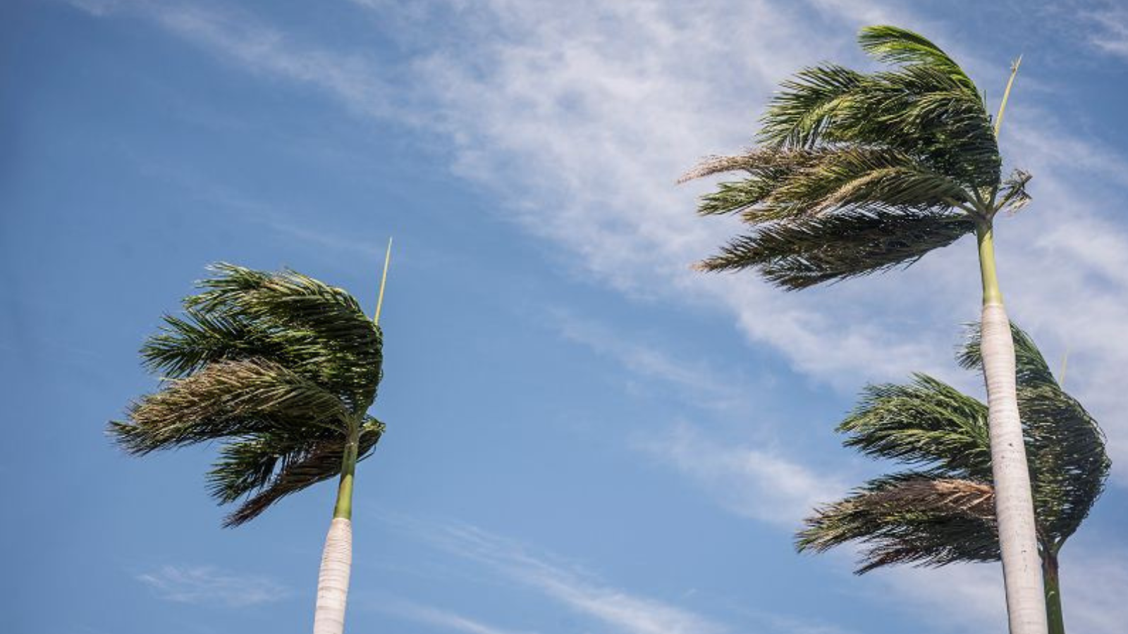 Días soleados, temperaturas altas y vientos fuertes: este es el pronóstico del tiempo para esta semana
