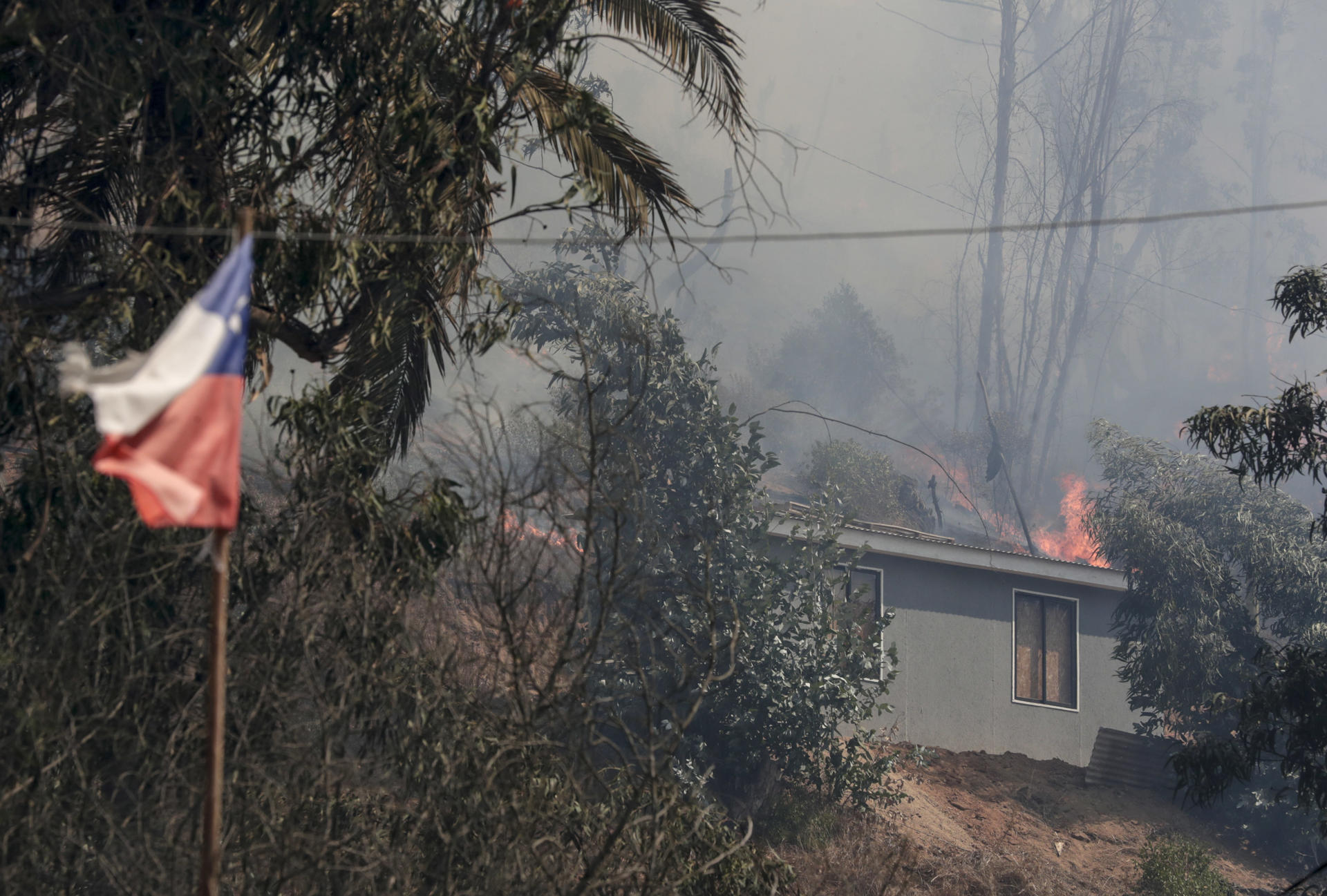 Incendios en Chile: el fuego multiplica la miseria en las barriadas ilegales de Viña del Mar