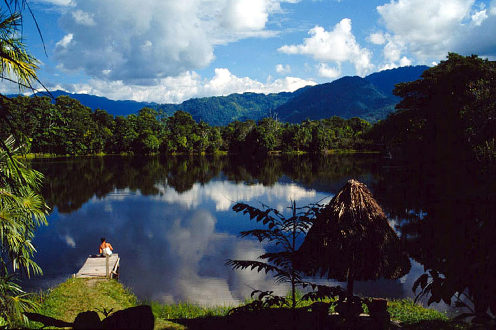 La ONU premia a un proyecto medioambiental peruano que rehabilita bosques en los Andes