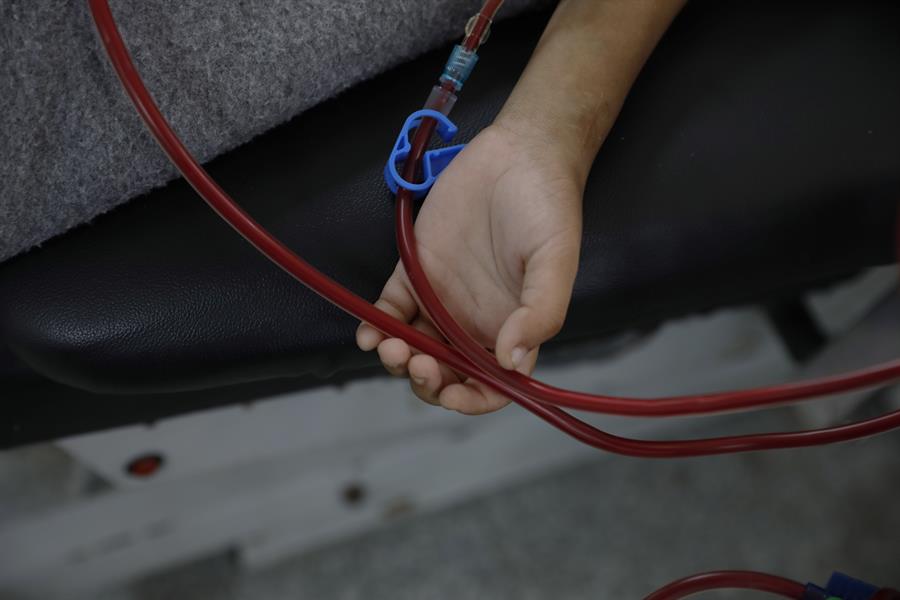 Científicos mexicanos crean tecnología que mejora la detección temprana de daño renal