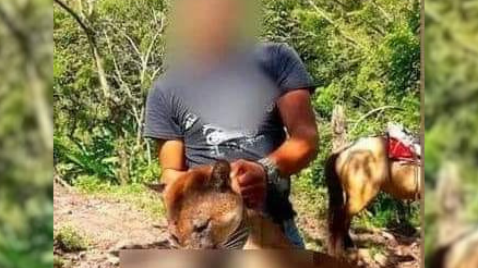 Un cazador exhibe como trofeo a un puma después de sacrificarlo en una reserva natural de Matagalpa
