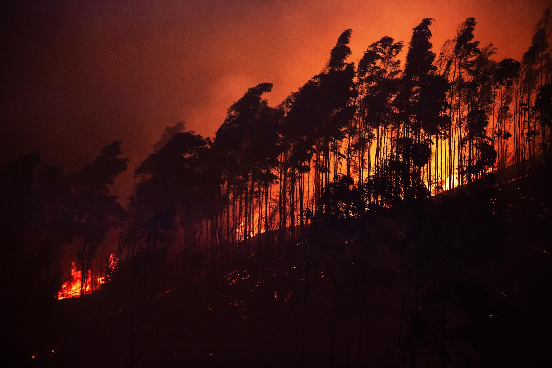 De incendios a megaincendios: por qué Chile arde ahora más