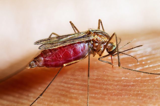 Los casos de neumonía y malaria continúan en aumento en Nicaragua