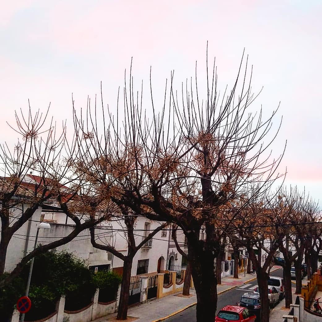 Las horas del coronavirus