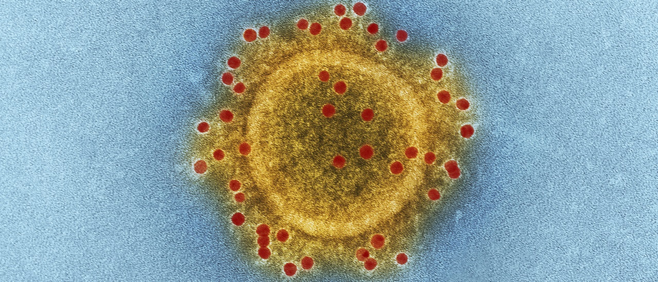 No hay evidencia de que el coronavirus haya sido creado en un laboratorio: esto sabemos de su origen