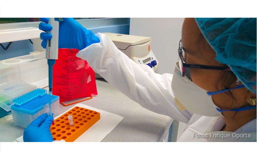 Covid-19 no es un virus de laboratorio, OMS sostiene que es de origen animal