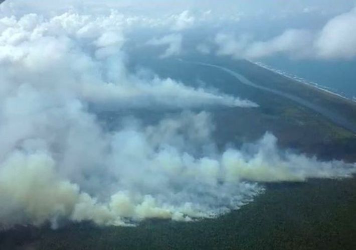 Indio Maíz, la tragedia ambiental que encendió la chispa de la resistencia cívica en 2018