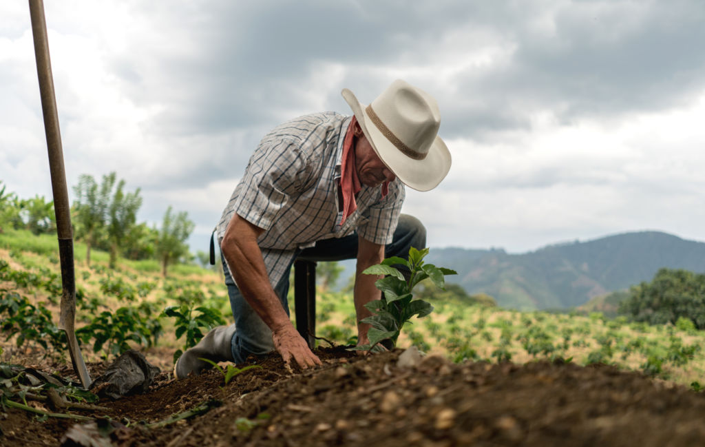 La pandemia de coronavirus amenaza la seguridad alimentaria de Nicaragua