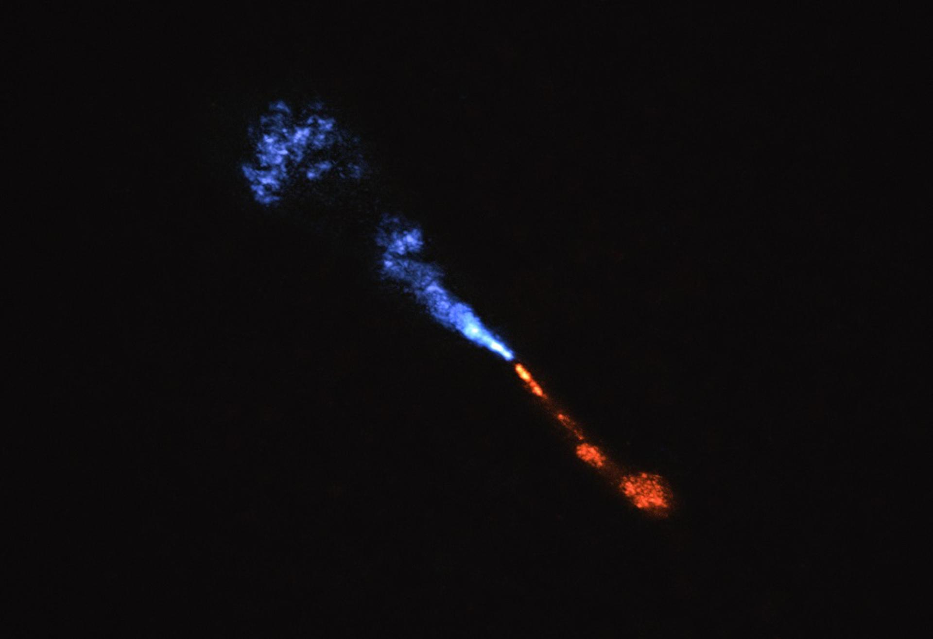 Astrónomos son testigos, por primera vez, del amanecer de un nuevo sistema solar