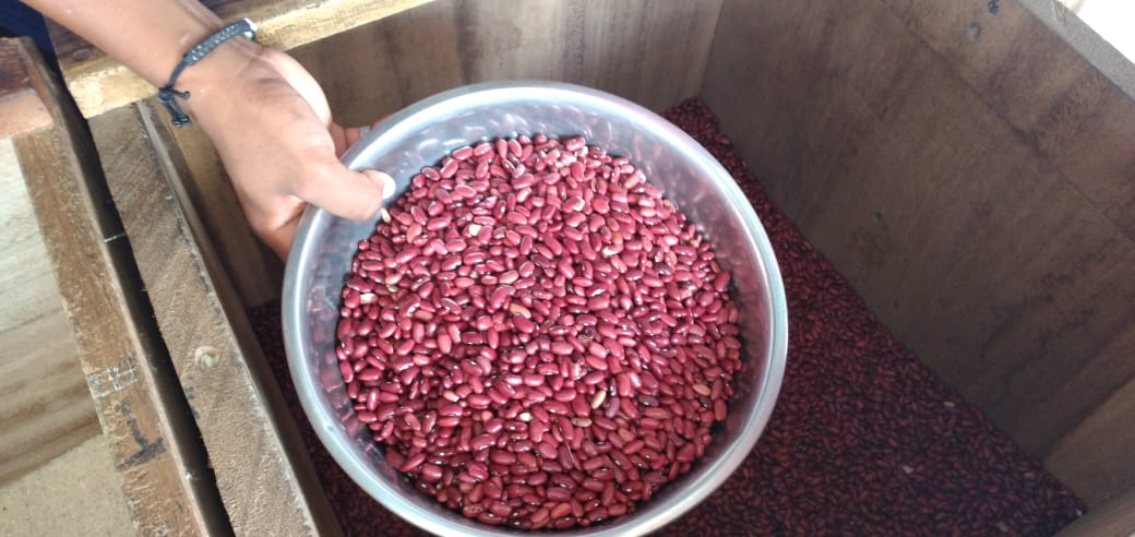 Frijoles, cada día más caros y escasos