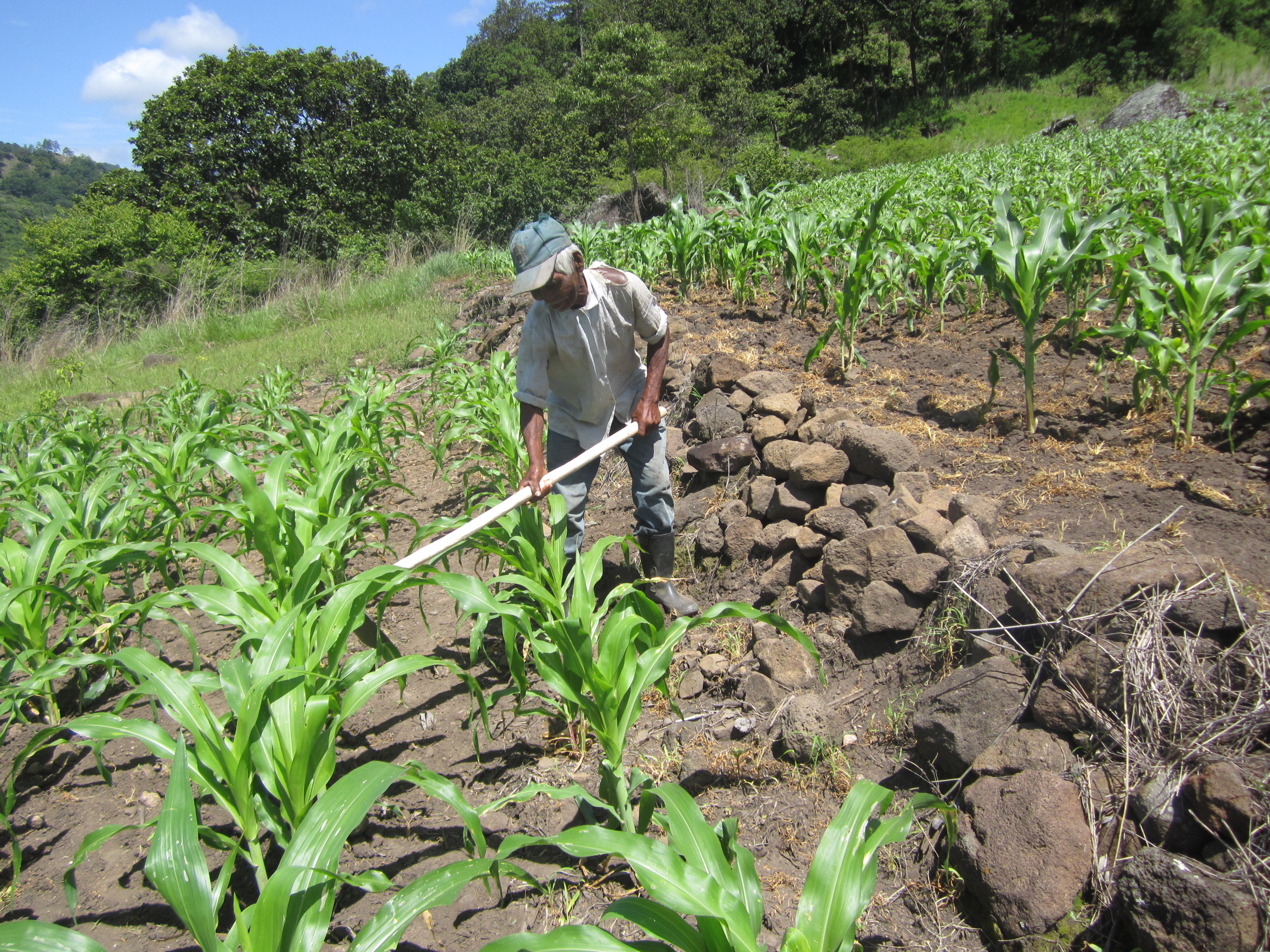 Unión Europea  y Luxemburgo destinan 15 millones de euros para seguridad alimentaria en Nicaragua