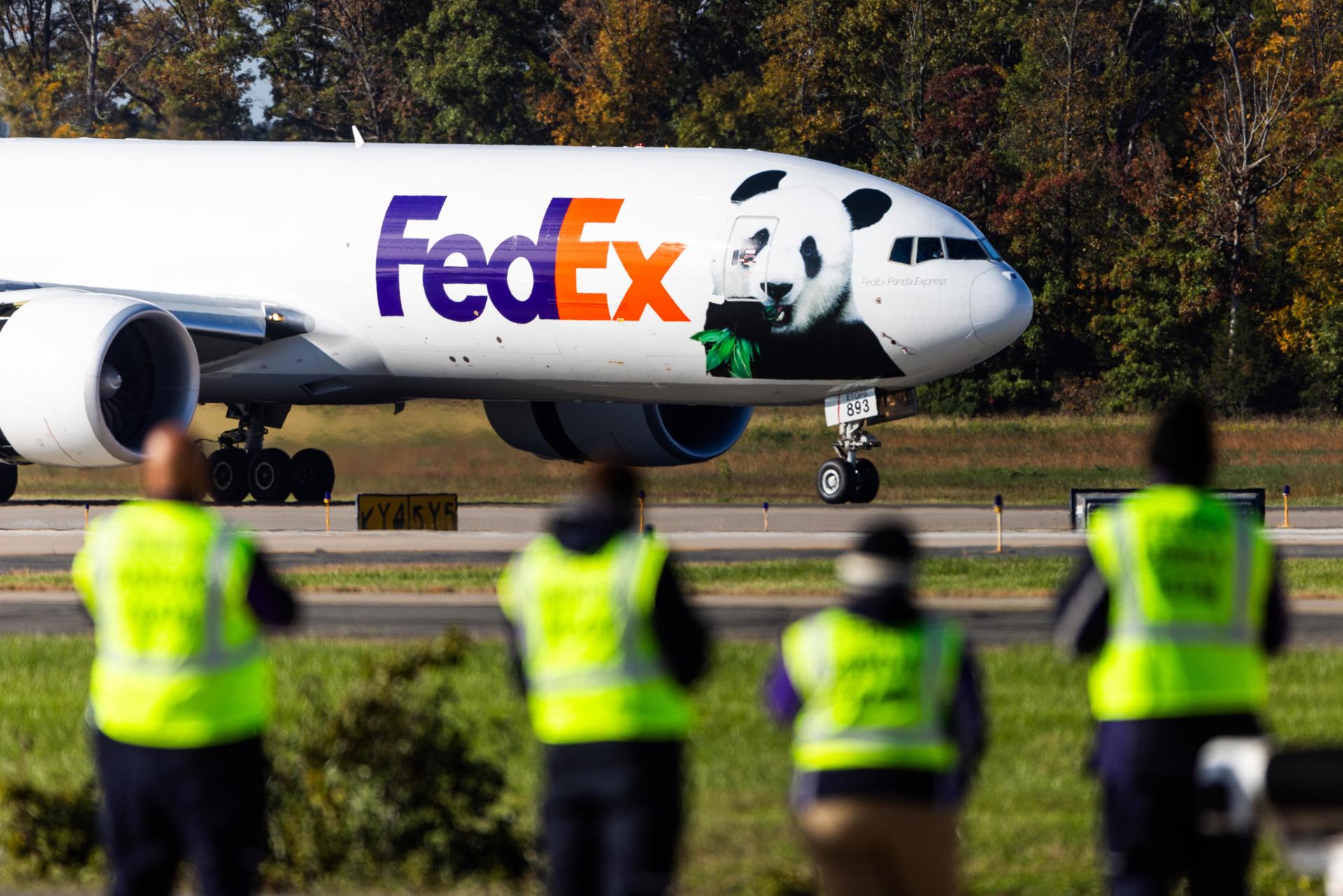 Llegan a EE.UU. dos pandas gigantes enviados por China al Zoológico Nacional de Washington