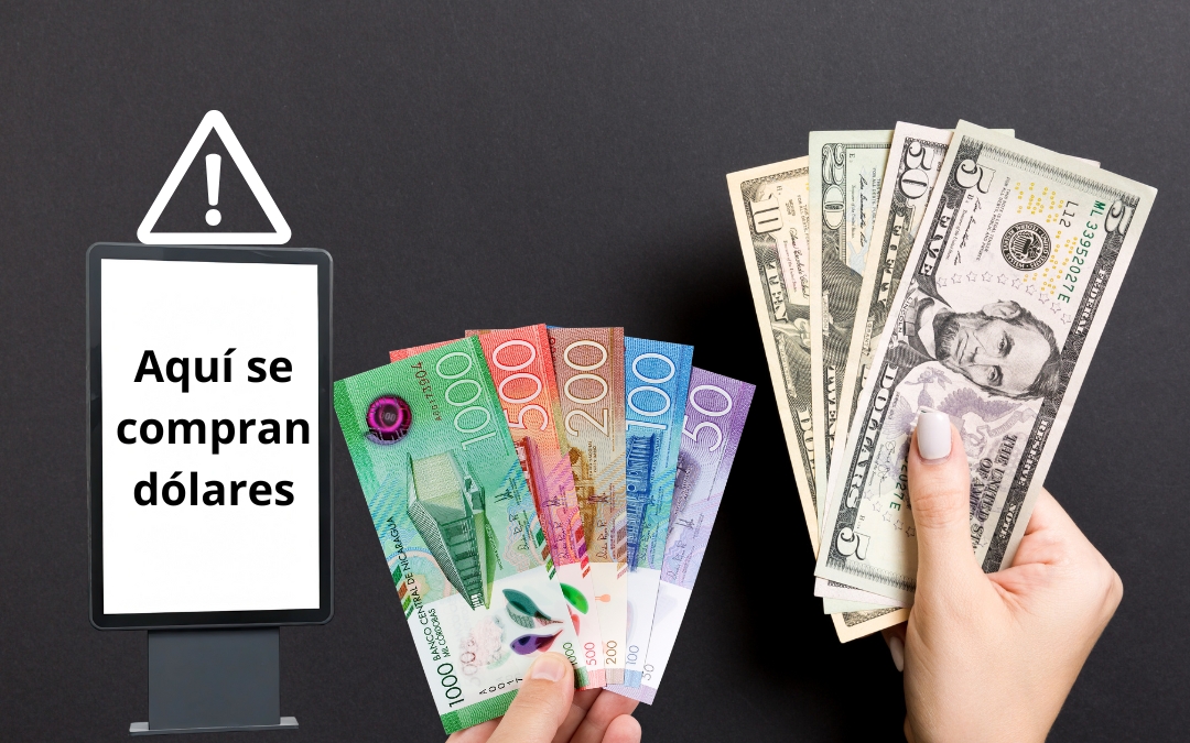 El Banco Central abre portal para denunciar servicios financieros «ilegales»: cambistas y negocios podrían ser investigados