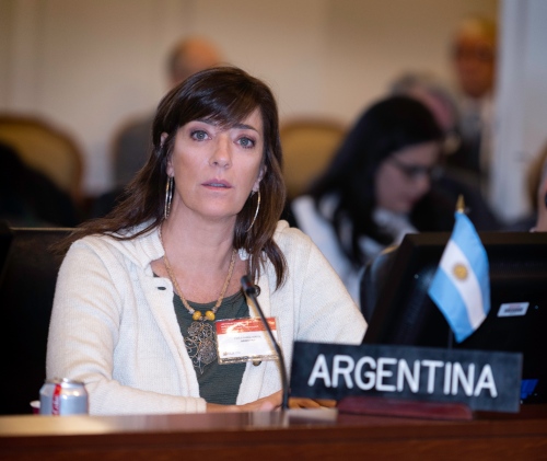 Paula Bertol: “Si ese diálogo no avanza, la Carta Democrática sí”