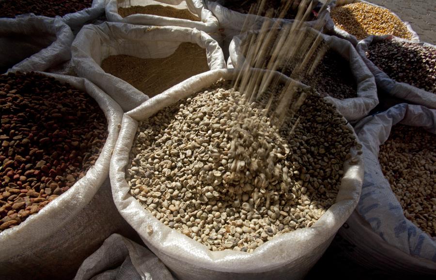 La COVID-19 plantea un nuevo reto al sector cafetalero de Nicaragua