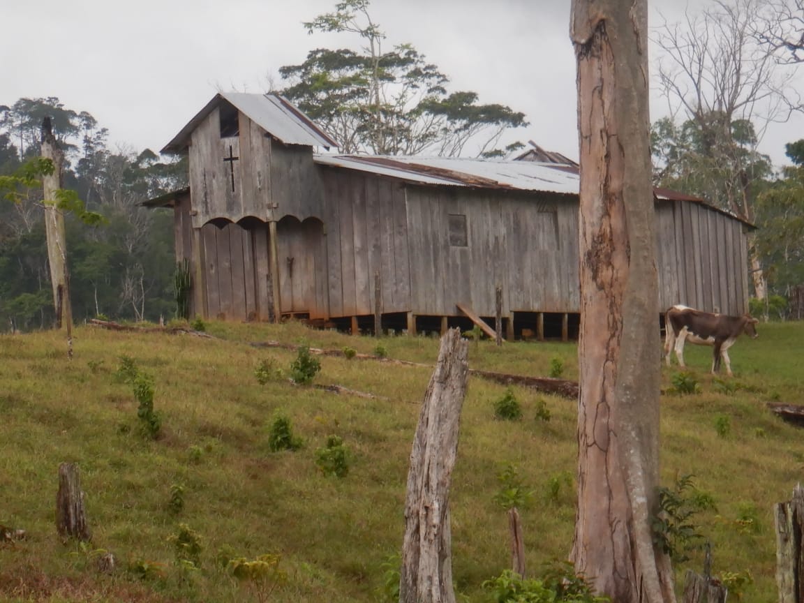 Invasión de templos en la Reserva Isla Maíz, es una «profanación», denuncia Fundación del Río