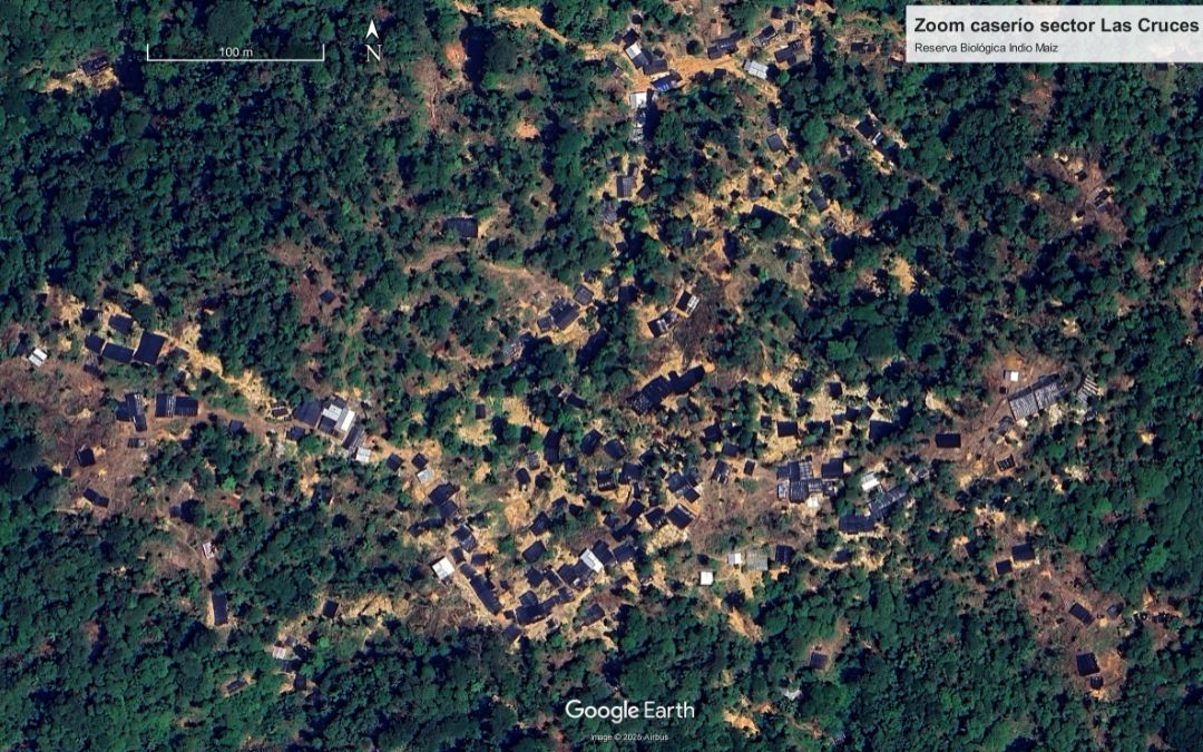 La minería ilegal arrasa 250 hectáreas de la Reserva Indio Maíz, el tamaño de 350 campos de fútbol