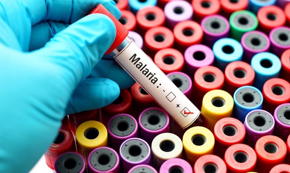 OPS: “Nicaragua tiene un problema severo de malaria en Puerto Cabezas”